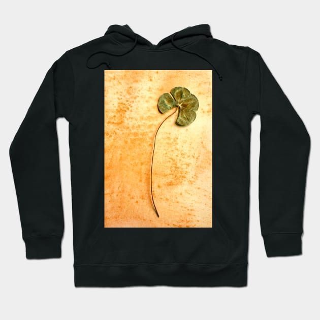 Four Leaf Clover Hoodie by rozmcq